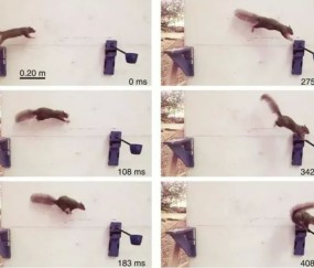 九游PC版-癬炠彧?I鞣乇