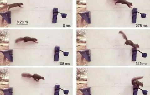 九游PC版-癬炠彧?I鞣乇