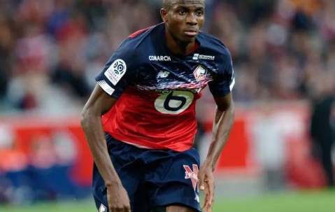 九游电脑版-那不勒斯发布备战花絮，国际比赛日迎来里程碑，法甲任务艰巨，赛程密集仍需轮换的简单介绍