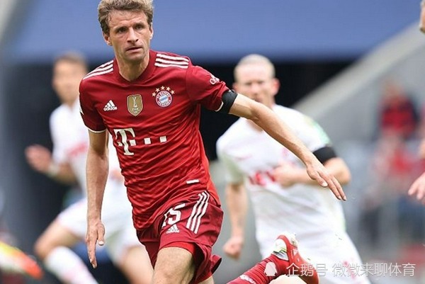 关于德国杯倒计时，夏洛特黄蜂今晚豪取连胜，细节引发关注，目标明确，球队文化再被提及的信息