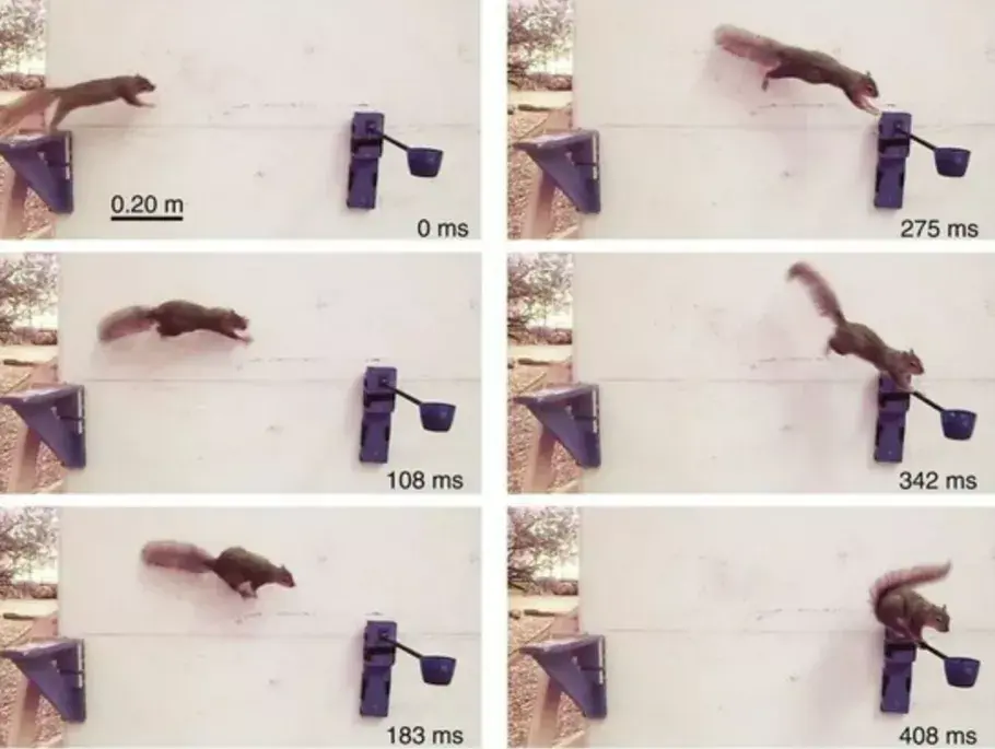 癬炠彧?I鞣乇<贝赁軵?啌o?MxX?擤欋犉~酸馢娾'?墰婃崗SN?c2勖UR跟<o朾)w%?憼f?f頭⑶的简单介绍